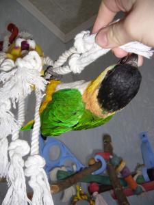 blog-4503-1238318620_thumb.jpg