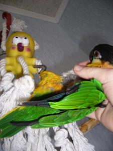 blog-4503-1238318840_thumb.jpg