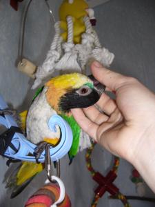 blog-4503-1238318892_thumb.jpg