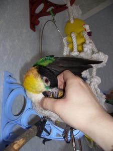 blog-4503-1238319038_thumb.jpg