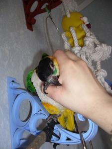 blog-4503-1238319223_thumb.jpg