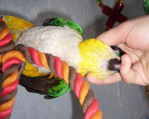 blog-4503-1238319509_thumb.jpg