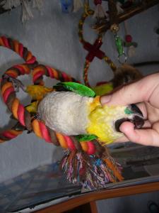 blog-4503-1238319868_thumb.jpg