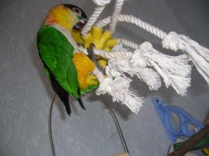 blog-4503-1238320134_thumb.jpg