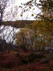 blog-4503-1241003584_thumb.jpg