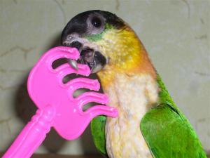 blog-4503-1277322873_thumb.jpg