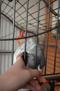 blog-45953-1391886696_thumb.jpg