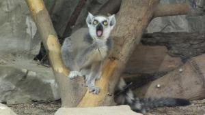 15.03.2012_105_1.jpg
