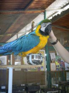 blog-51387-1389623500_thumb.jpg