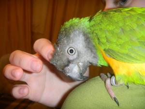 blog-51387-1389623566_thumb.jpg