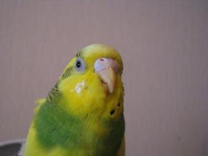 blog-5890-1365298993_thumb.jpg