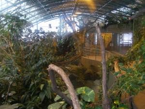 P1010277.JPG