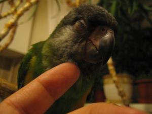 blog-6998-1205616216_thumb.jpg
