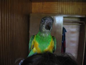 blog-6998-1213049328_thumb.jpg
