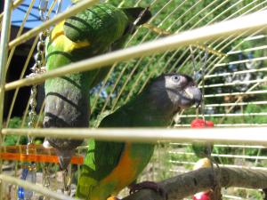 blog-6998-1213049525_thumb.jpg