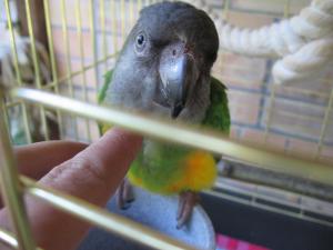 blog-6998-1213049865_thumb.jpg