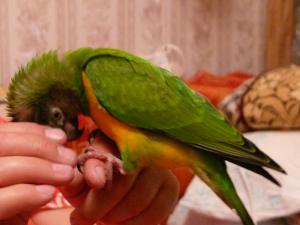blog-6998-1217761552_thumb.jpg