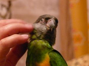 blog-6998-1217761604_thumb.jpg