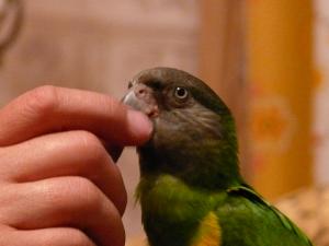 blog-6998-1217761620_thumb.jpg