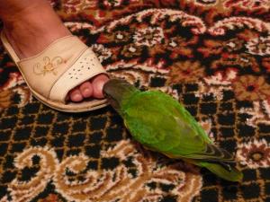 blog-6998-1217766864_thumb.jpg