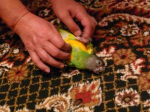 blog-6998-1217766882_thumb.jpg