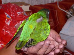 blog-6998-1217766995_thumb.jpg