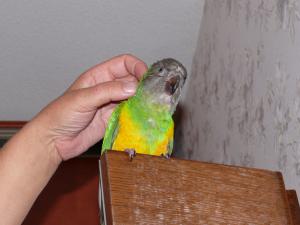 blog-6998-1219265716_thumb.jpg