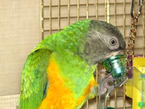 blog-6998-1224160101_thumb.jpg