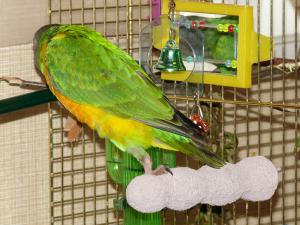 blog-6998-1224160205_thumb.jpg
