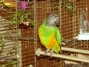 blog-6998-1224160223_thumb.jpg