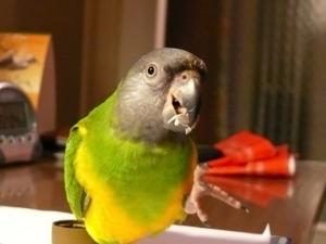blog-6998-1224160817_thumb.jpg