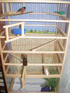 blog-7313-1229758118_thumb.jpg