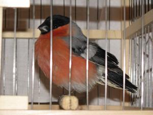 blog-7313-1235197153_thumb.jpg