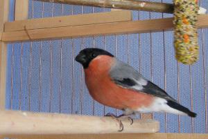 blog-7313-1235207565_thumb.jpg