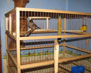 blog-7313-1242538656_thumb.jpg