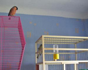 blog-7313-1243681492_thumb.jpg