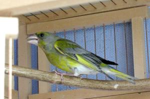 blog-7313-1243953059_thumb.jpg