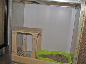 blog-7313-1246457655_thumb.jpg