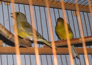 blog-7313-1251976520_thumb.jpg