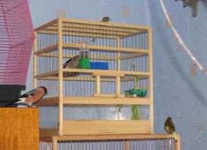 blog-7313-1253272498_thumb.jpg