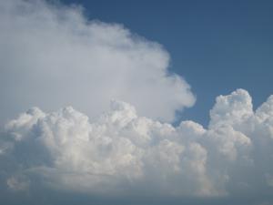 blog-806-1276451593_thumb.jpg