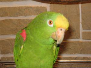 blog-8162-1183490409_thumb.jpg