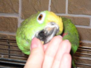 blog-8162-1183492230_thumb.jpg