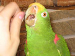 blog-8162-1183492245_thumb.jpg