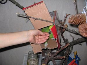 blog-8162-1258643835_thumb.jpg