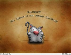 blog-8162-1258731160_thumb.jpg