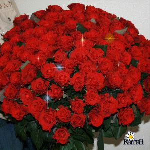 blog-8162-1259234127_thumb.jpg