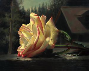 blog-8162-1260200259_thumb.jpg