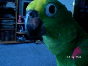 blog-8321-1183581499_thumb.jpg