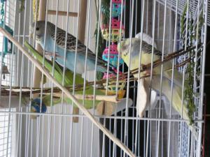 blog-8630-1207343518_thumb.jpg